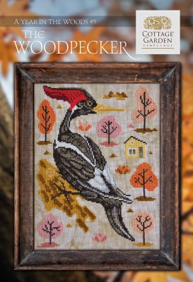 Year In The Woods 9- The Woodpecker
